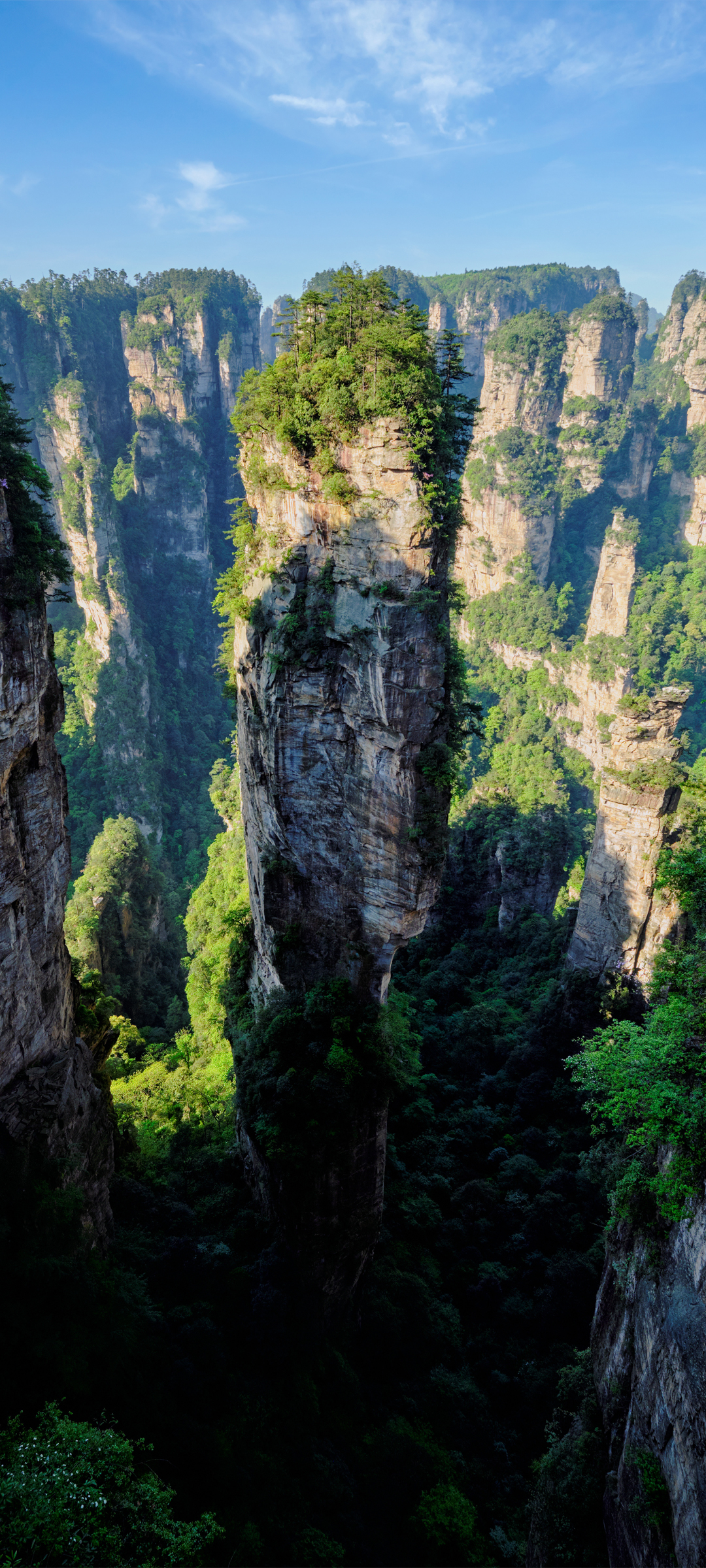 石林 石头 奇观 自然风景 高清手机 壁纸