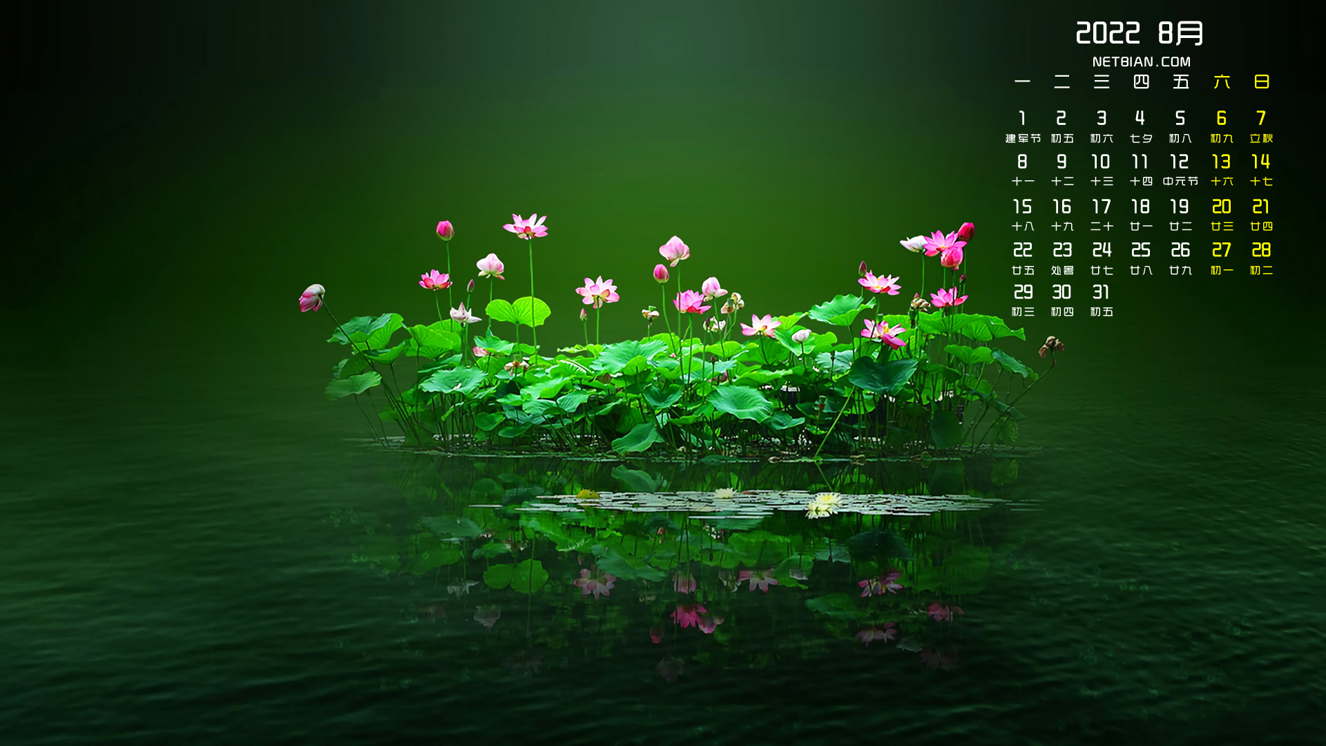 荷花2022年8月日历桌面高清壁纸