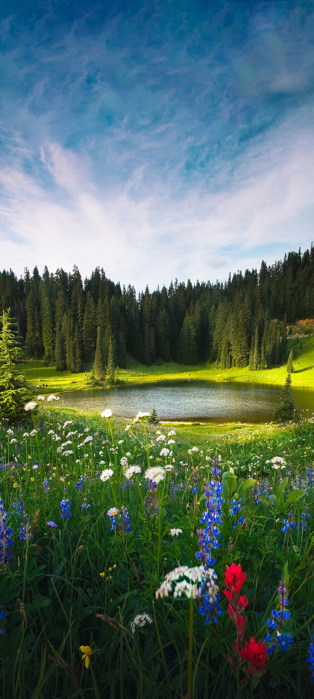 高山 湖水 树林 鲜花风景高清手机壁纸图片