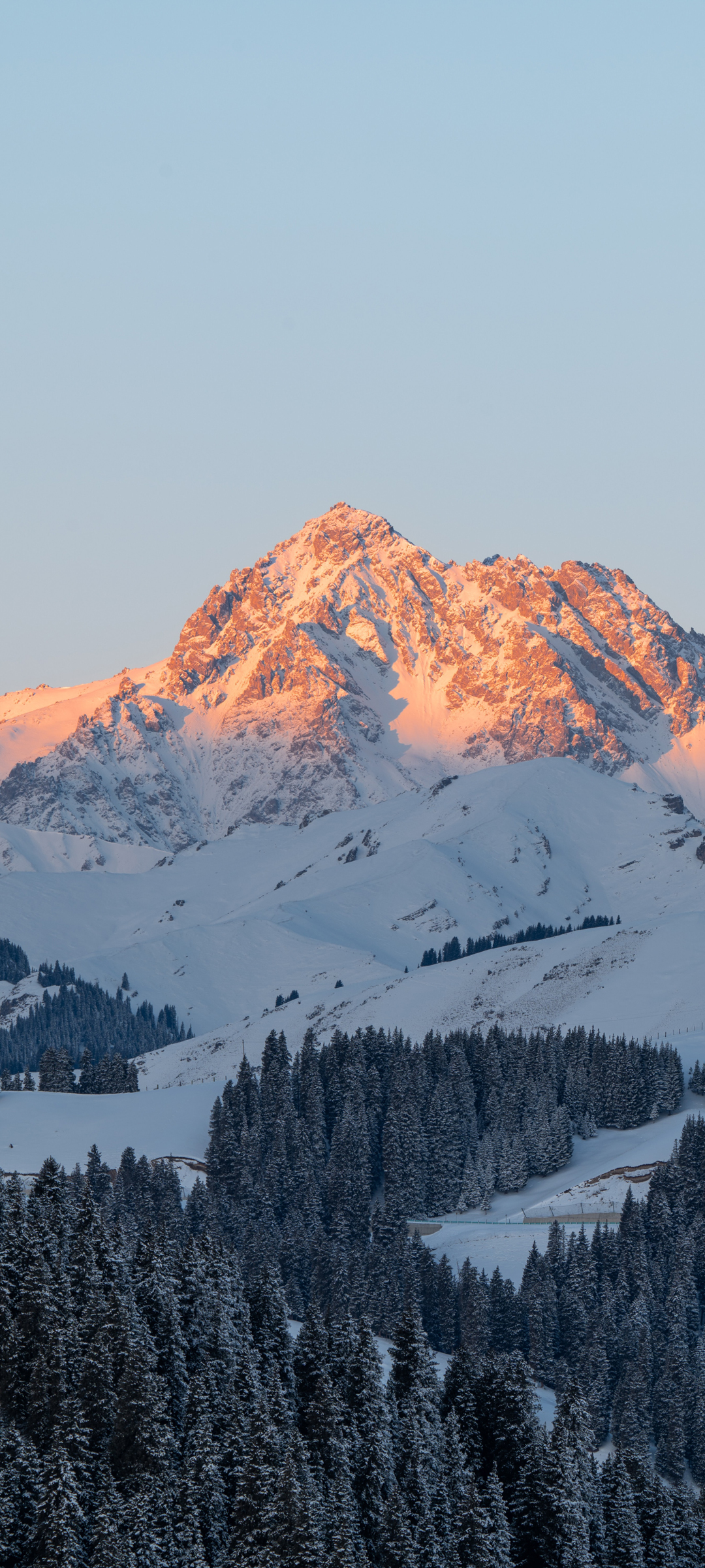 冬季 雪山 树林 雪景 风景 高清手机 壁纸