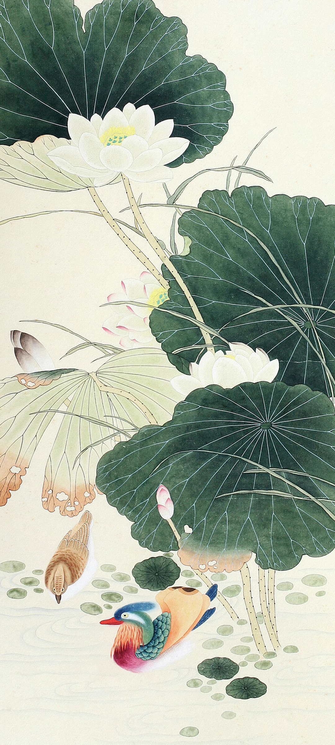 荷花 中国风 全屏高清手机壁纸