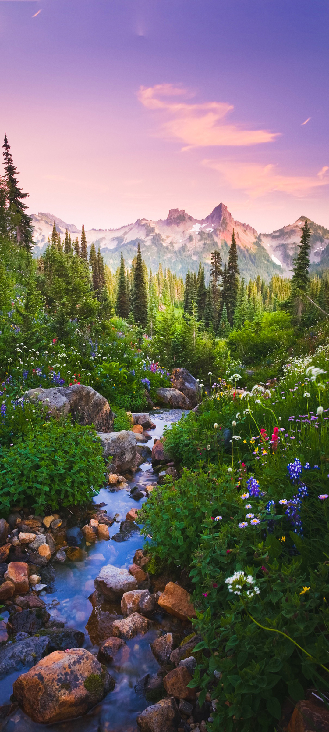 美丽风景 小溪流水 高山 树林 鲜花高清风景高清手机壁纸桌面图片