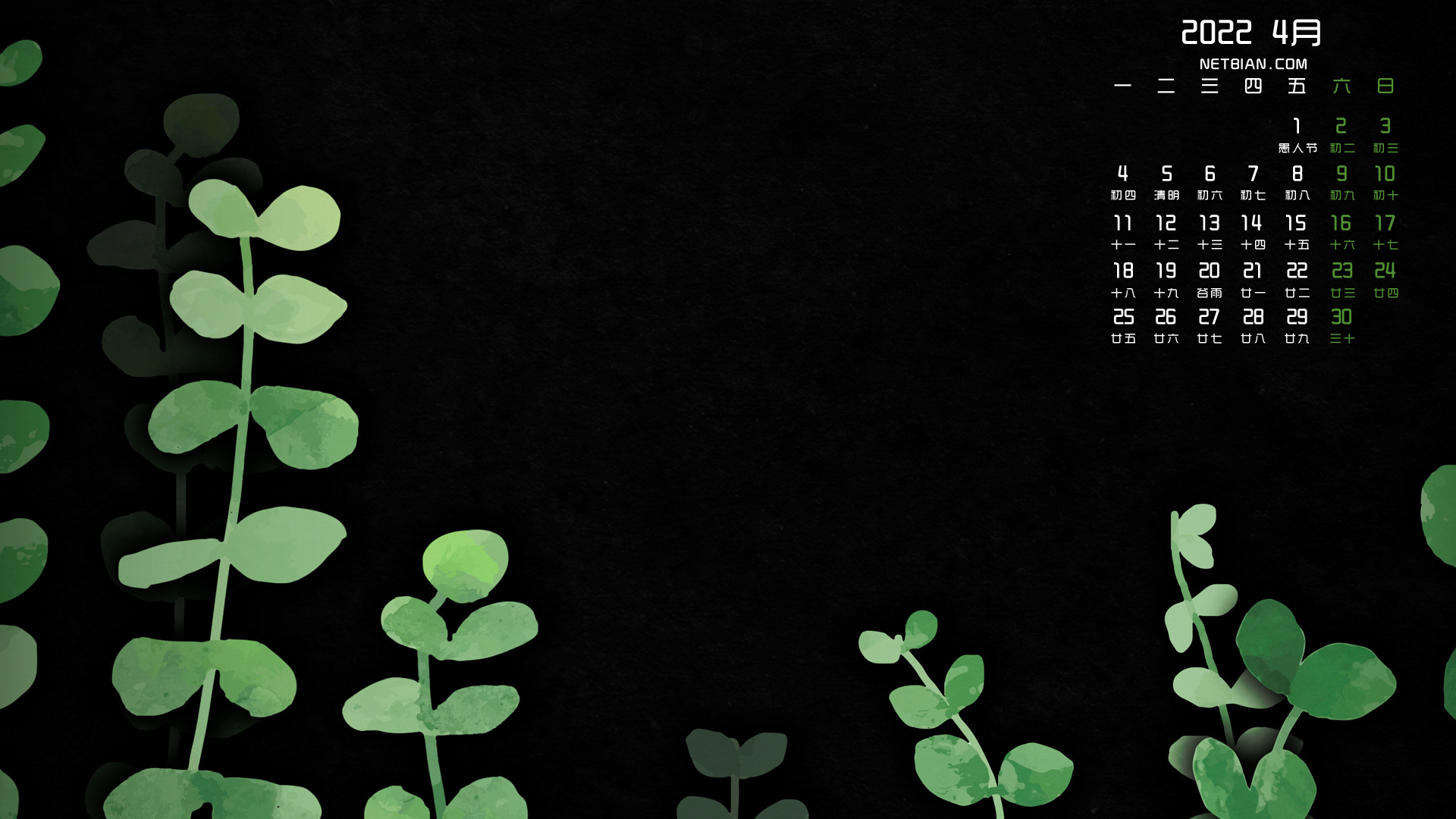 绿色植物黑色背景2022年4月日历桌面高清壁纸