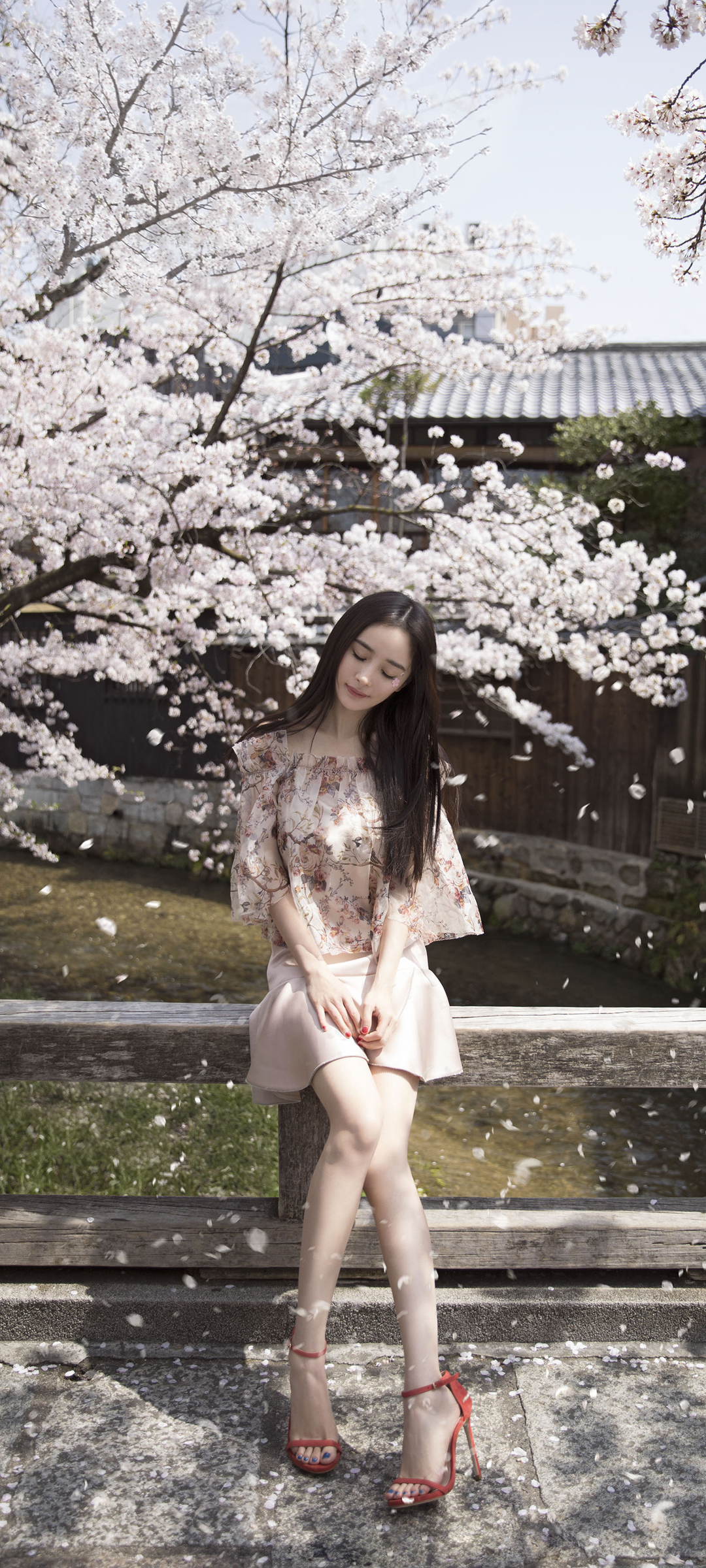 杨幂 树 花 唯美高清手机壁纸
