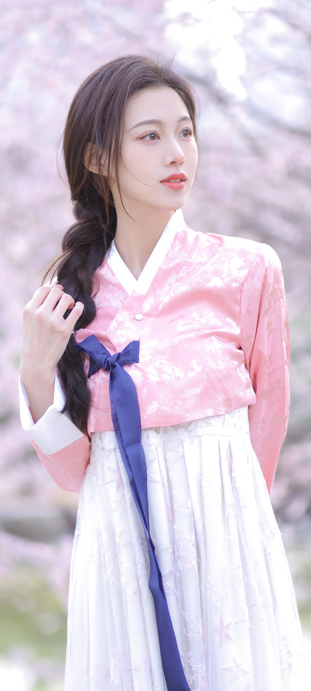 赏花的美女高清手机壁纸