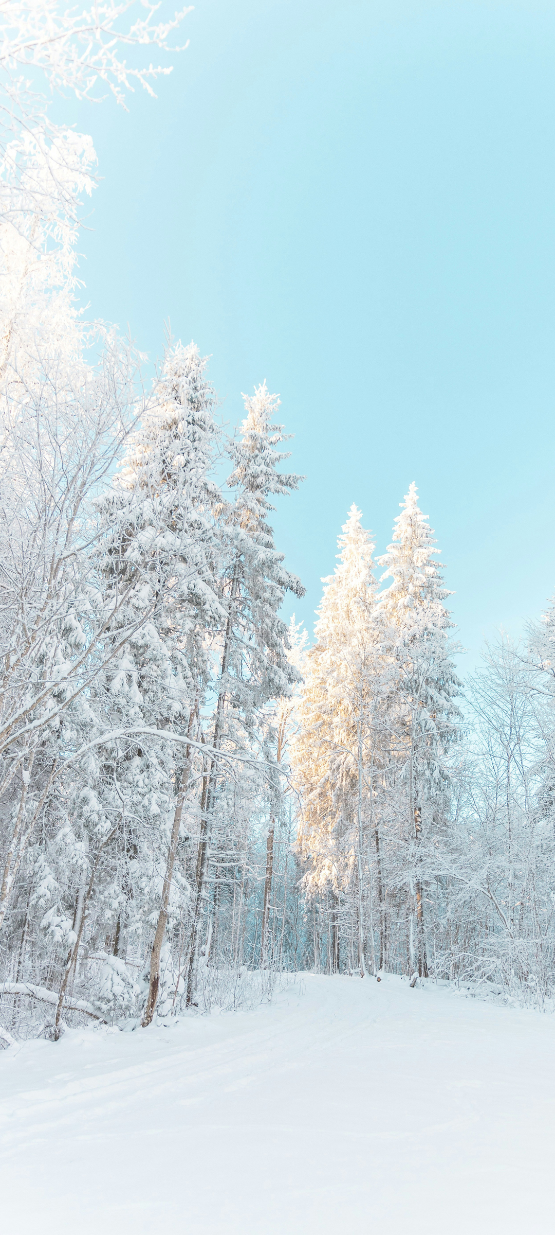 雪景树林风景高清手机壁纸