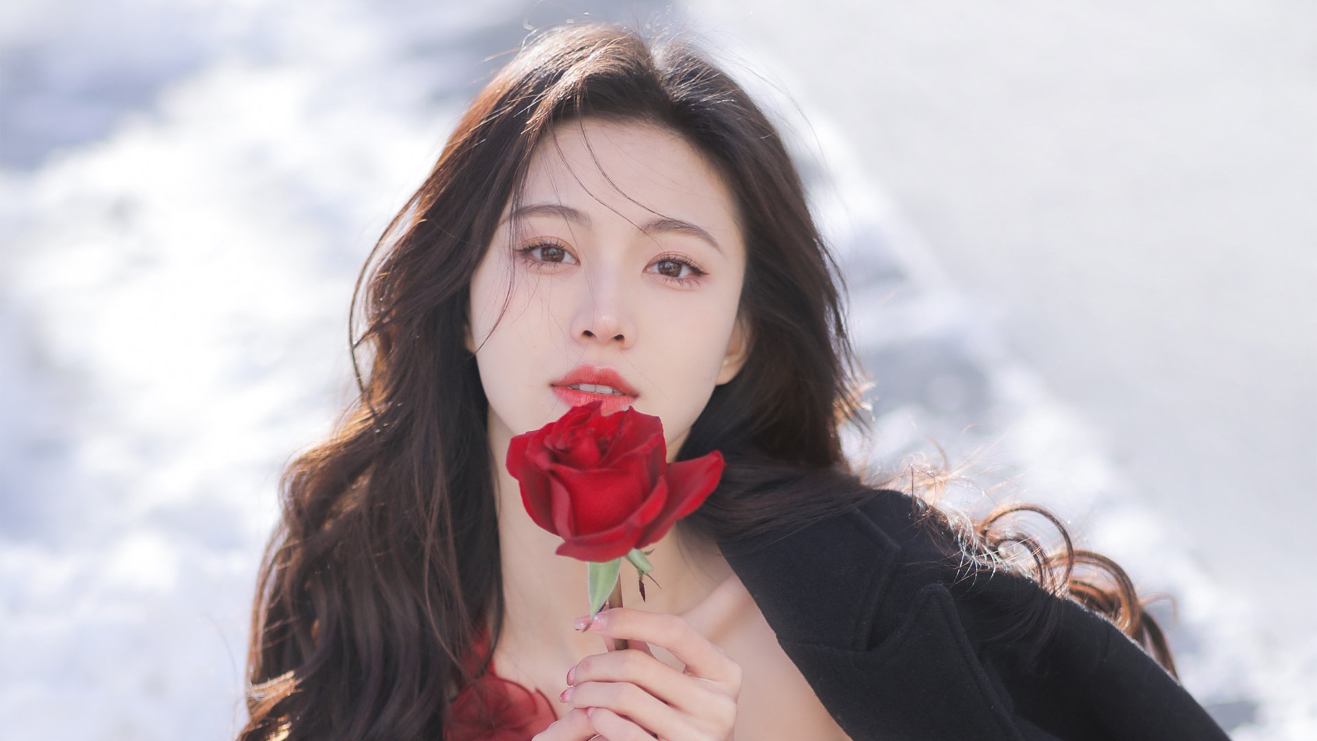 拿着玫瑰花的漂亮美女高清壁纸