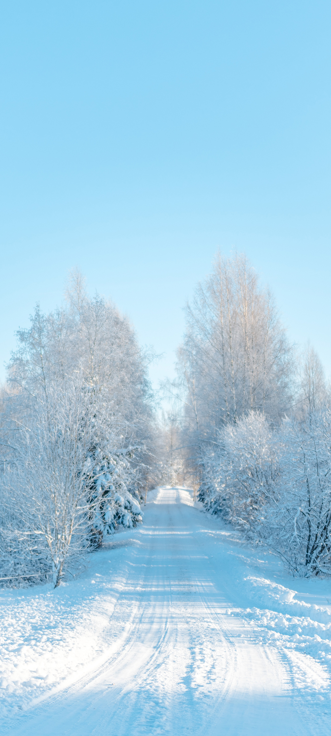 冬天风景雪地树公路风景高清手机壁纸