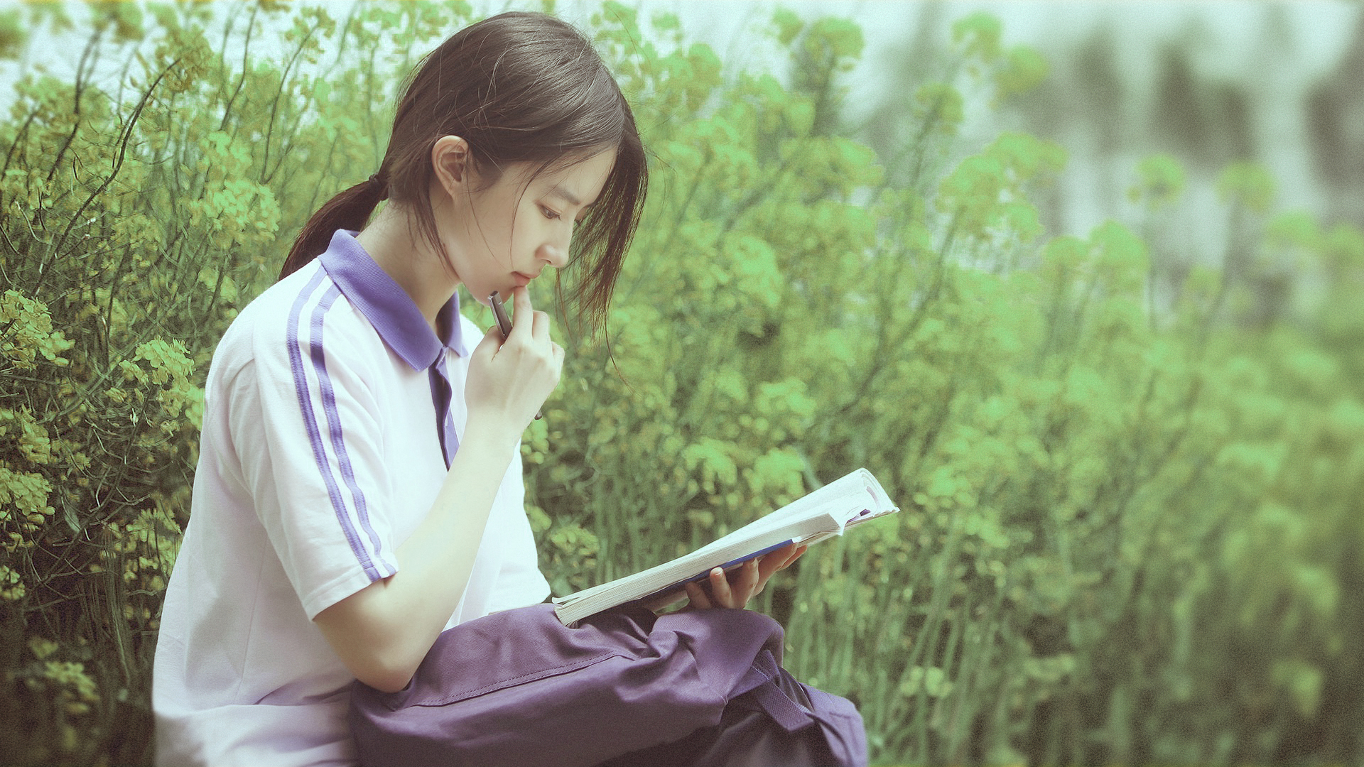 刘亦菲 花海 油菜花 看书 清纯美女高清壁纸