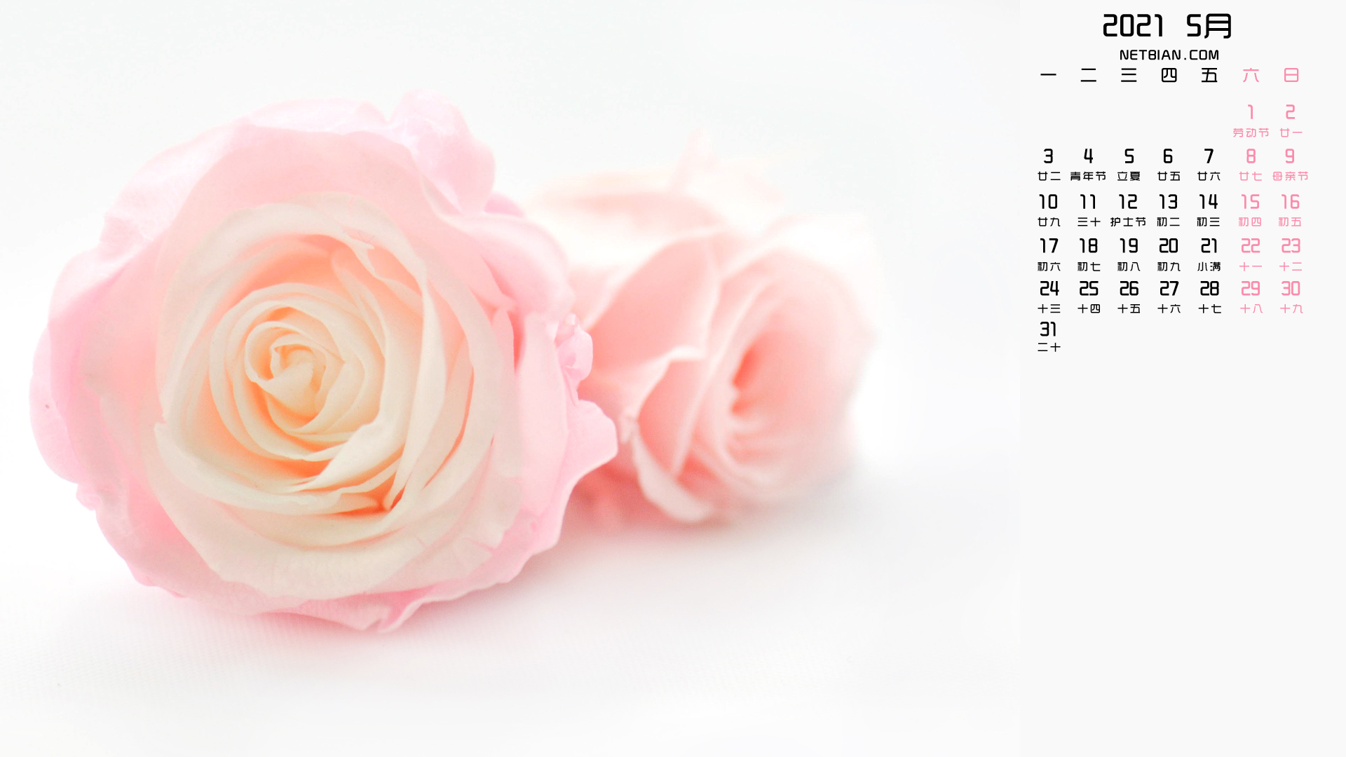 玫瑰花2021年5月日历桌面高清壁纸