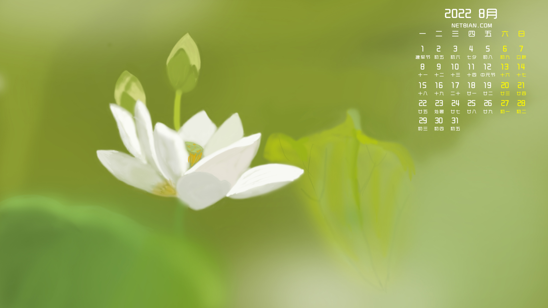 原创荷花2022年8月日历桌面高清壁纸小清新护眼