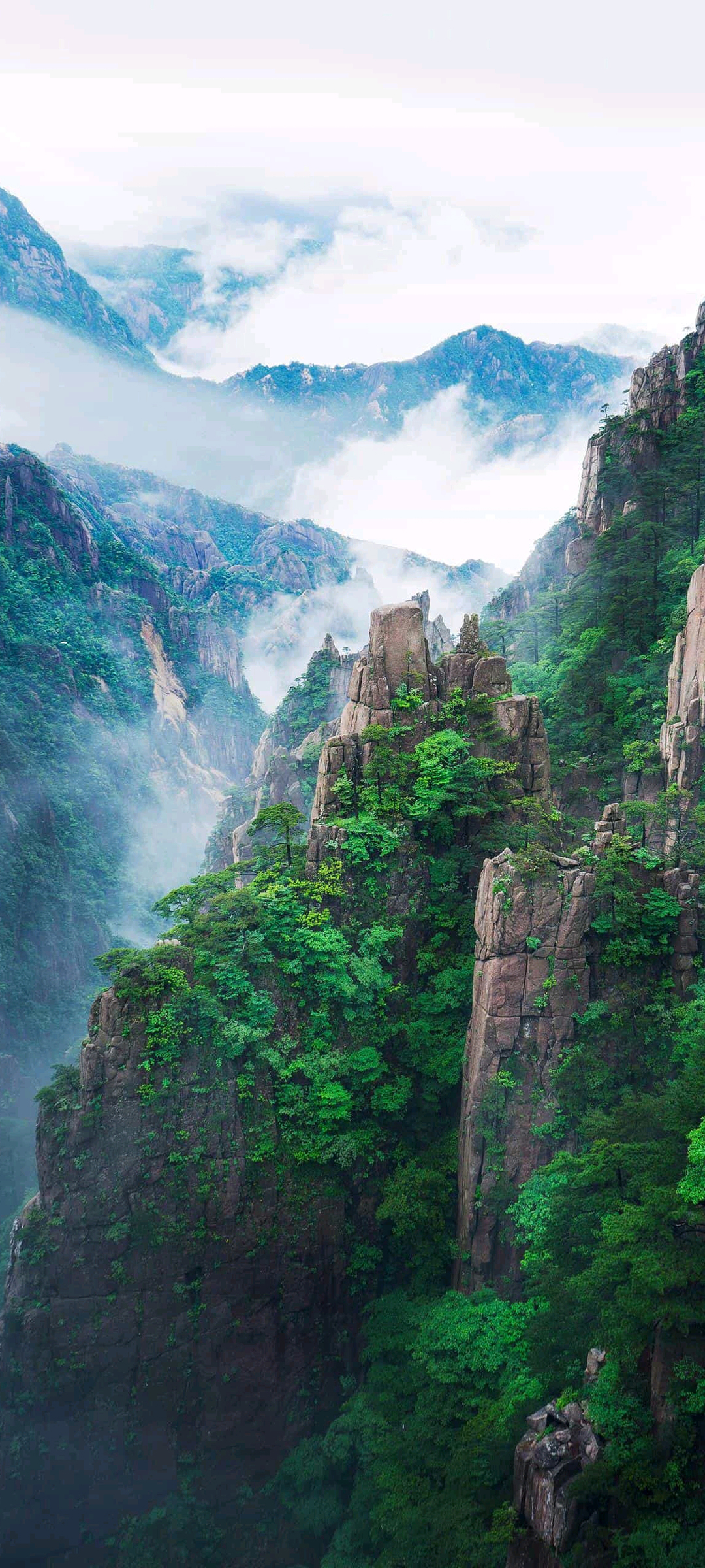 山 仙境 云 张家界风景高清手机壁纸