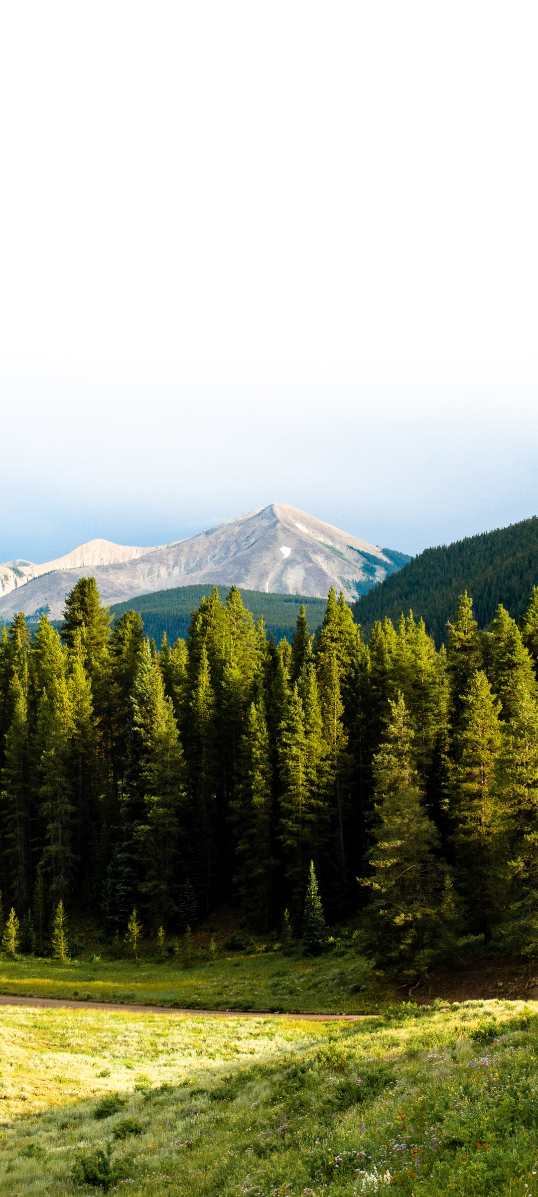 自然森林 山 树 风景高清手机壁纸