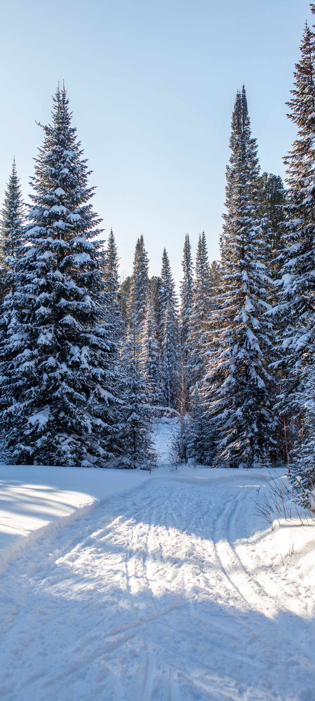 冬季雪山路风景高清手机壁纸背景