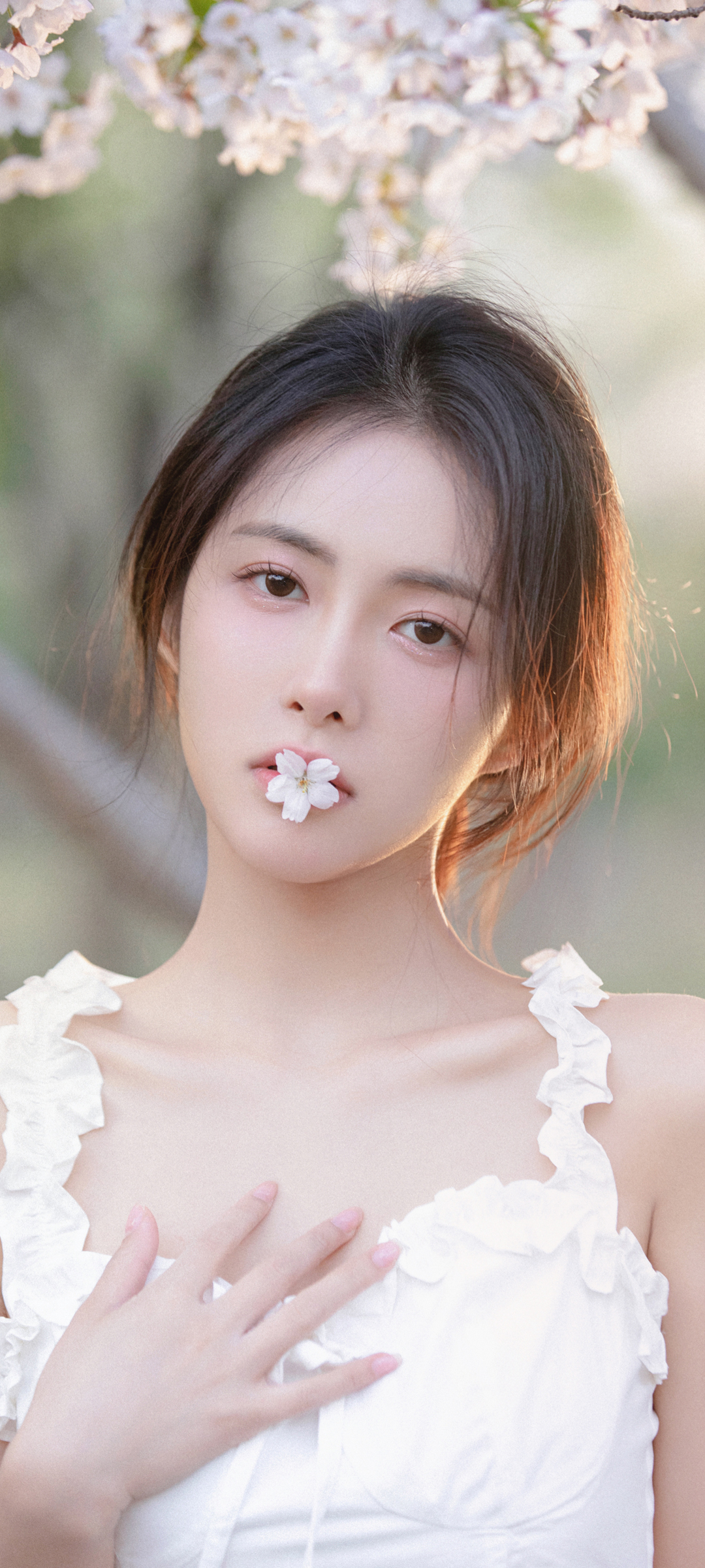 美女 樱花 林晚儿高清手机壁纸