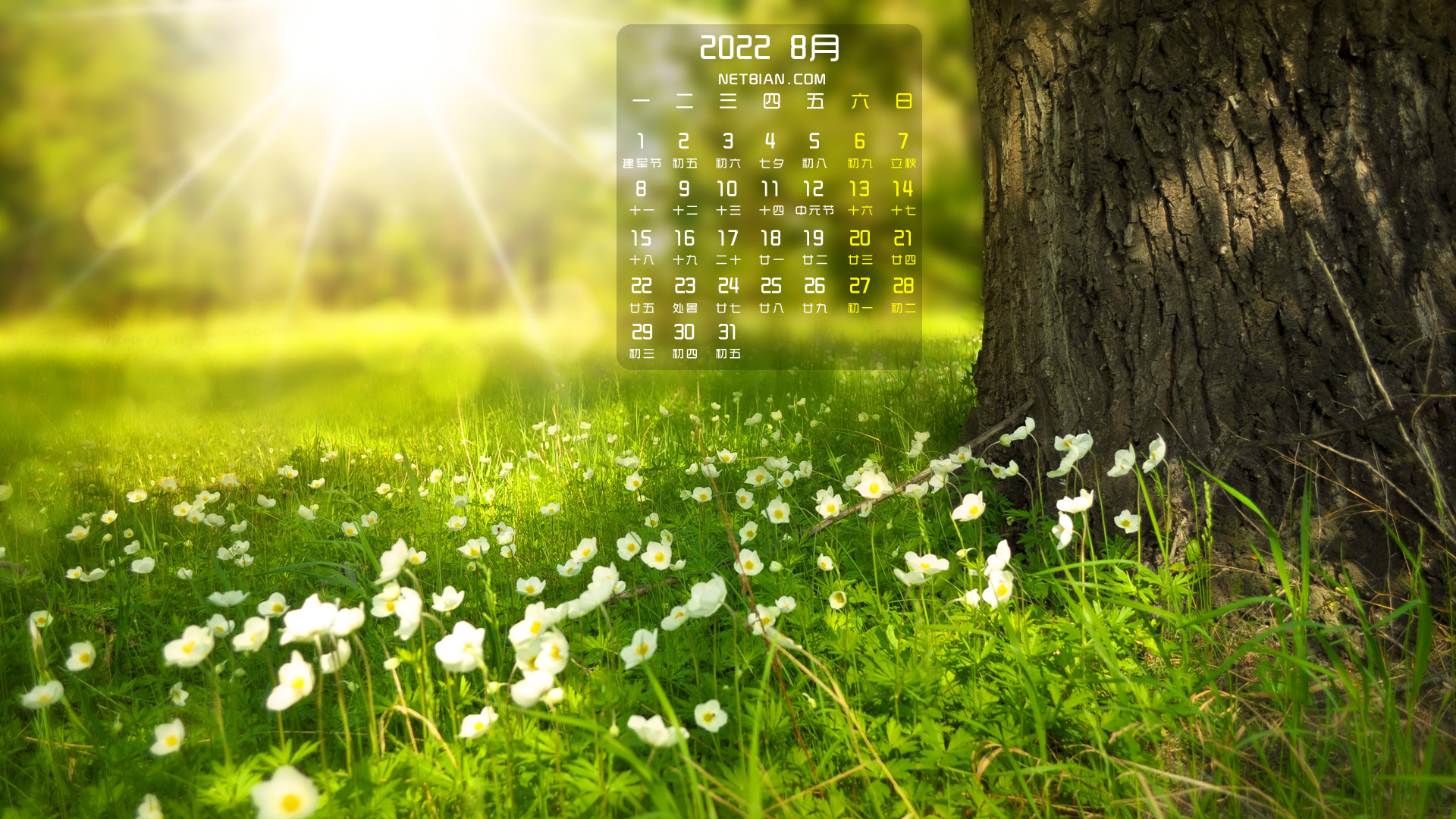阳光树草地鲜花风景2022年8月日历桌面高清壁纸