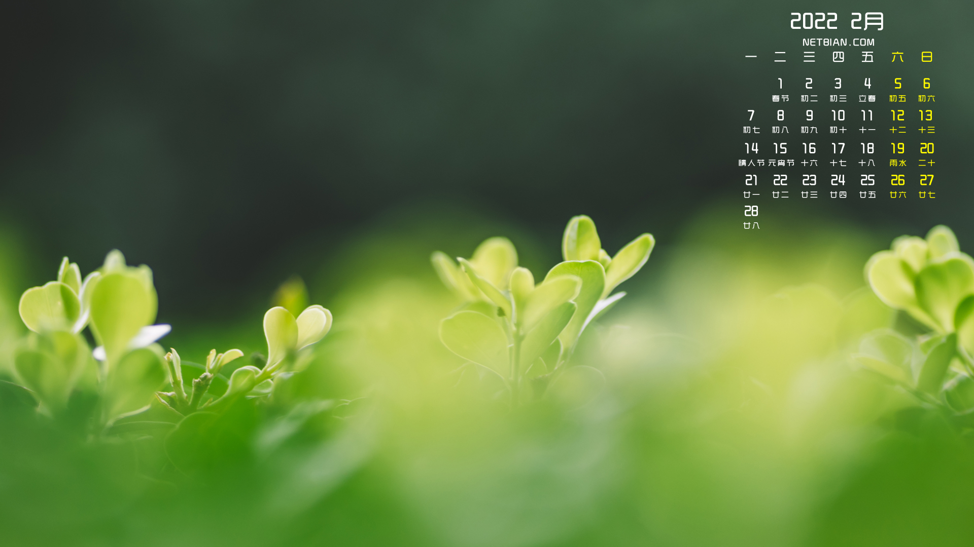 春天树芽绿色护眼2022年2月日历桌面高清壁纸