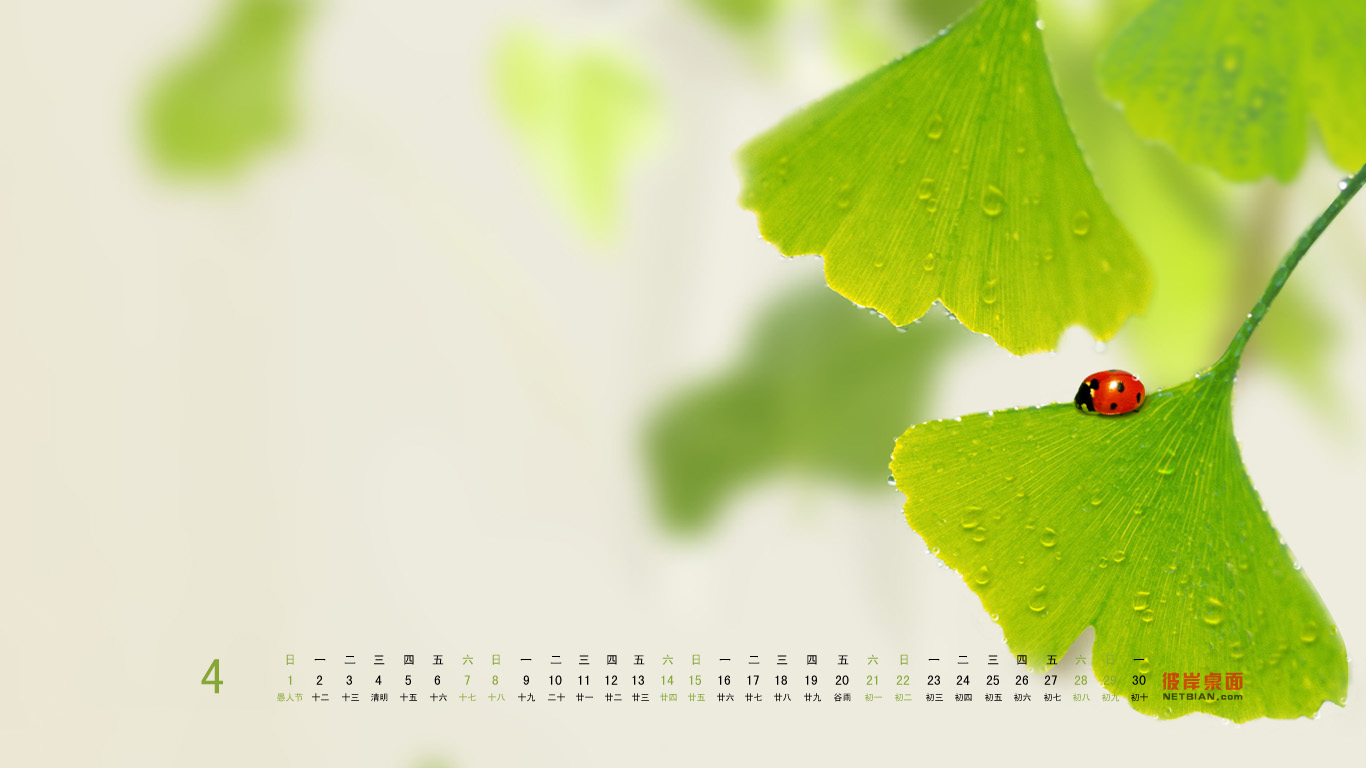 绿叶里2012年4月日历桌面高清壁纸 2012年全年日历高清壁纸