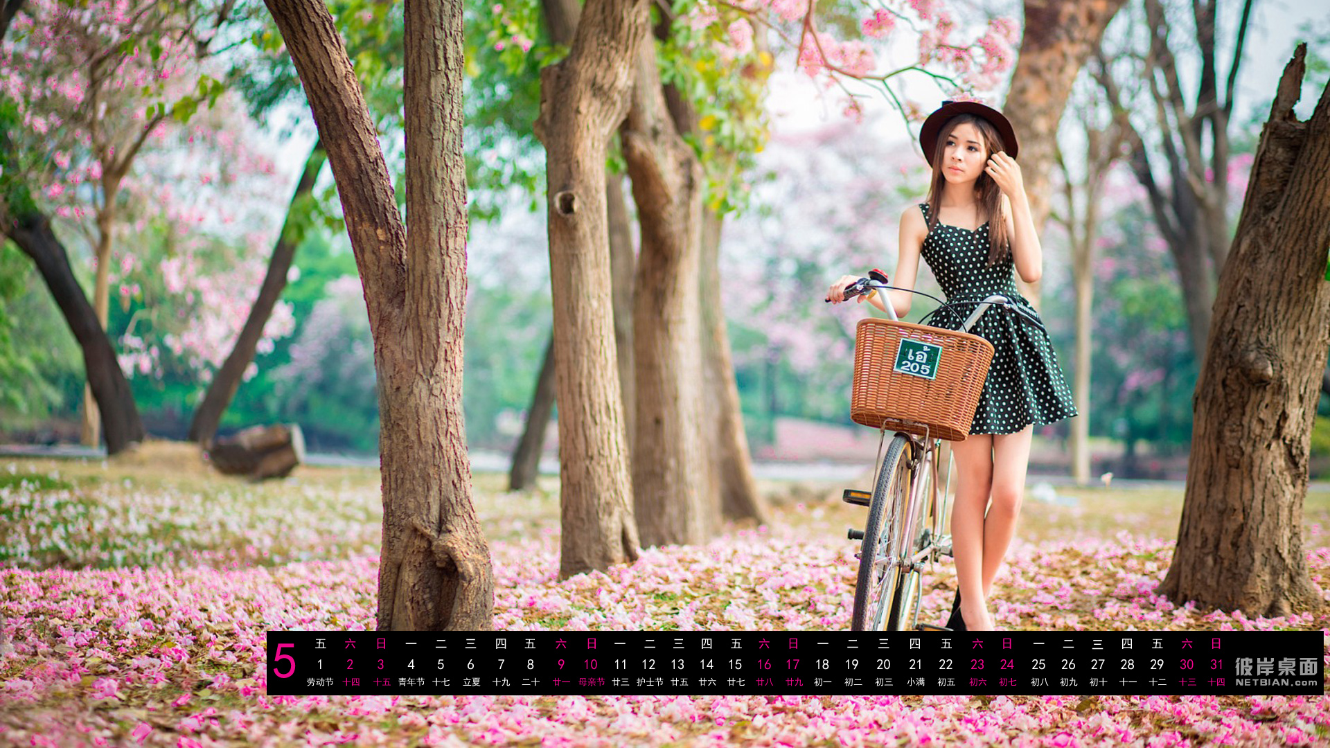 彼岸2015年5月日历桌面高清壁纸 粉红色花园，女孩，自行车，春游