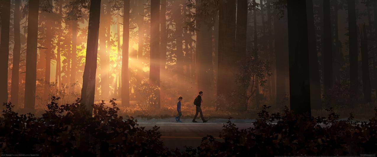 LifeisStrange2带鱼屏高清壁纸