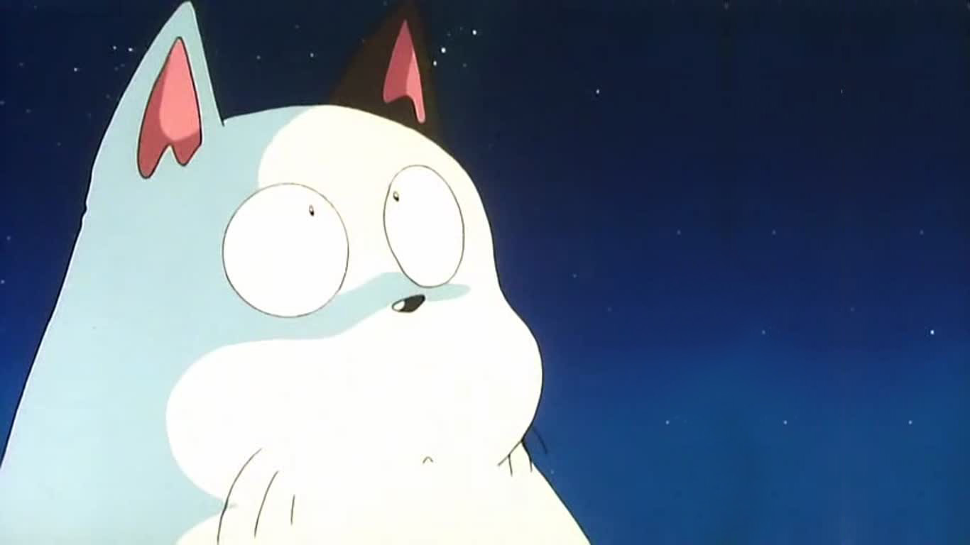 可爱大龙猫桌面高清壁纸