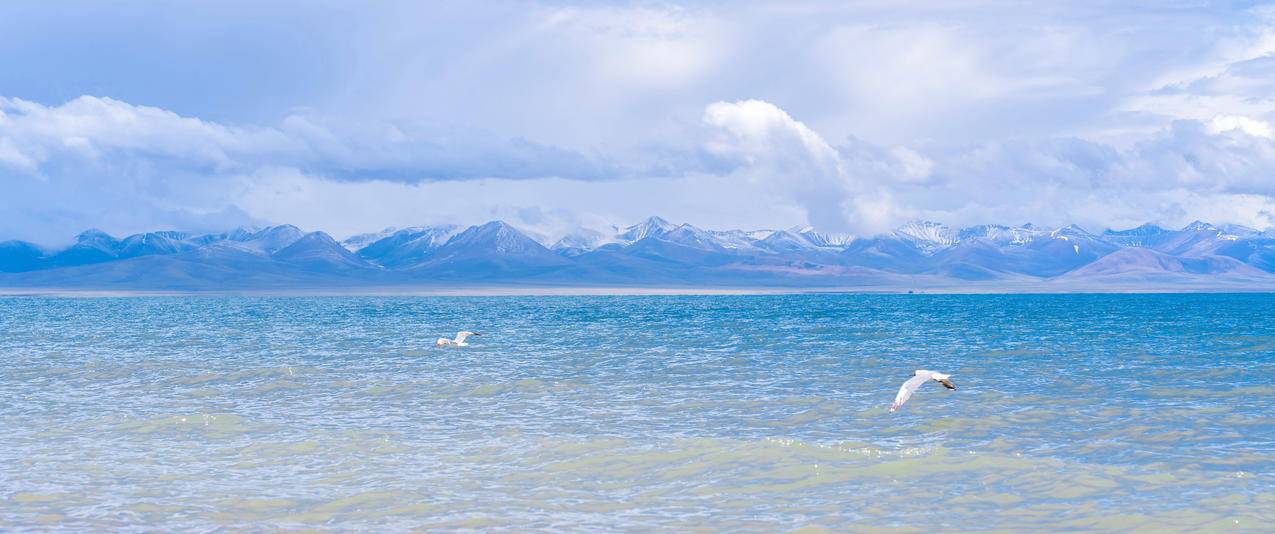 大海 海鸥 5k 风景 精选高清壁纸