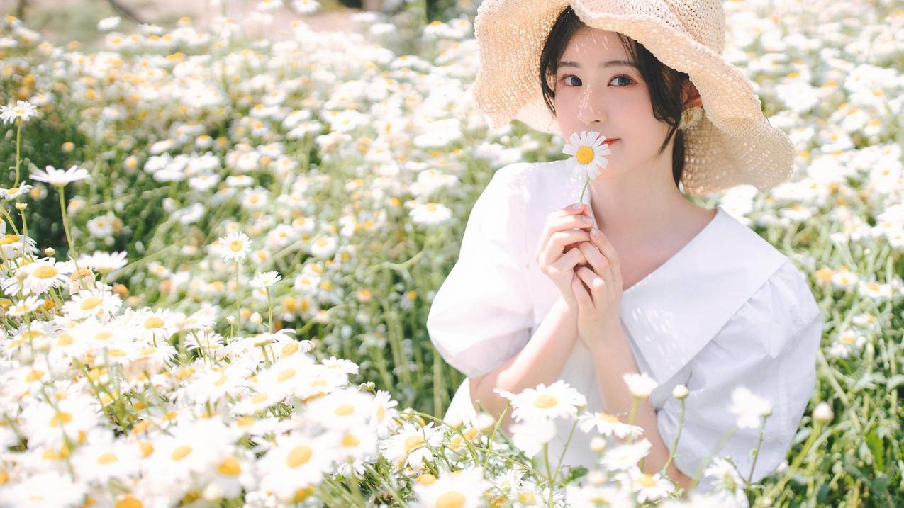 花海 小雏菊 夏日 清新 美女 4k电脑高清壁纸