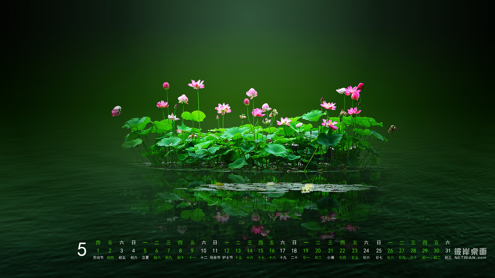彼岸桌面2014年5月风景日历高清壁纸 荷塘