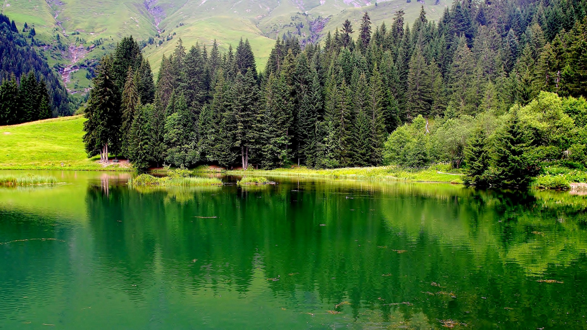 法国，上萨瓦省，自然，湖水，森林，山，风景桌面高清壁纸