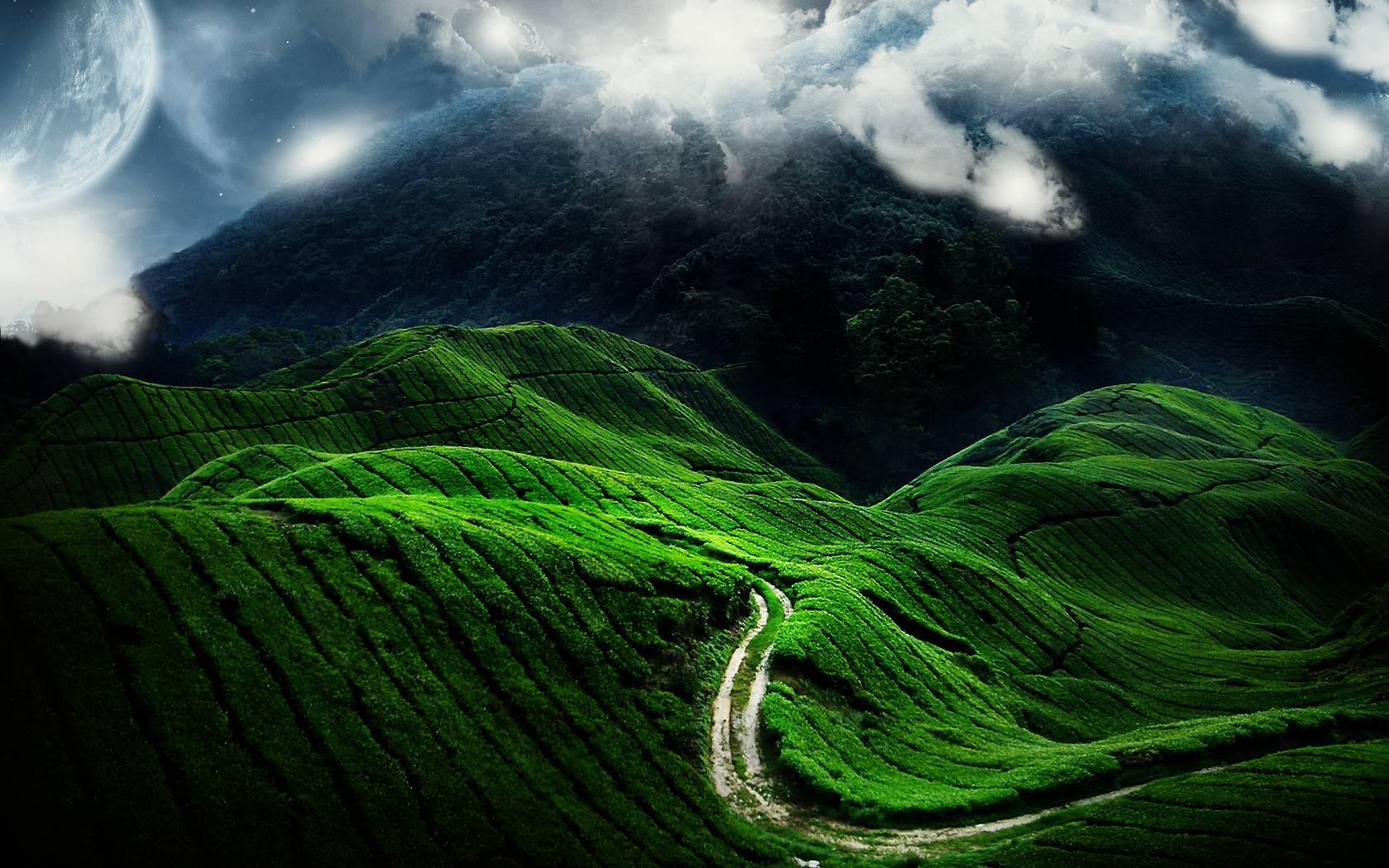 回家的路风景桌面高清壁纸