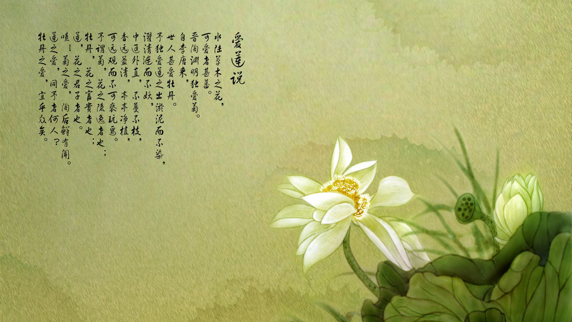 爱莲说 出淤泥而不染,濯清涟而不妖桌面高清壁纸