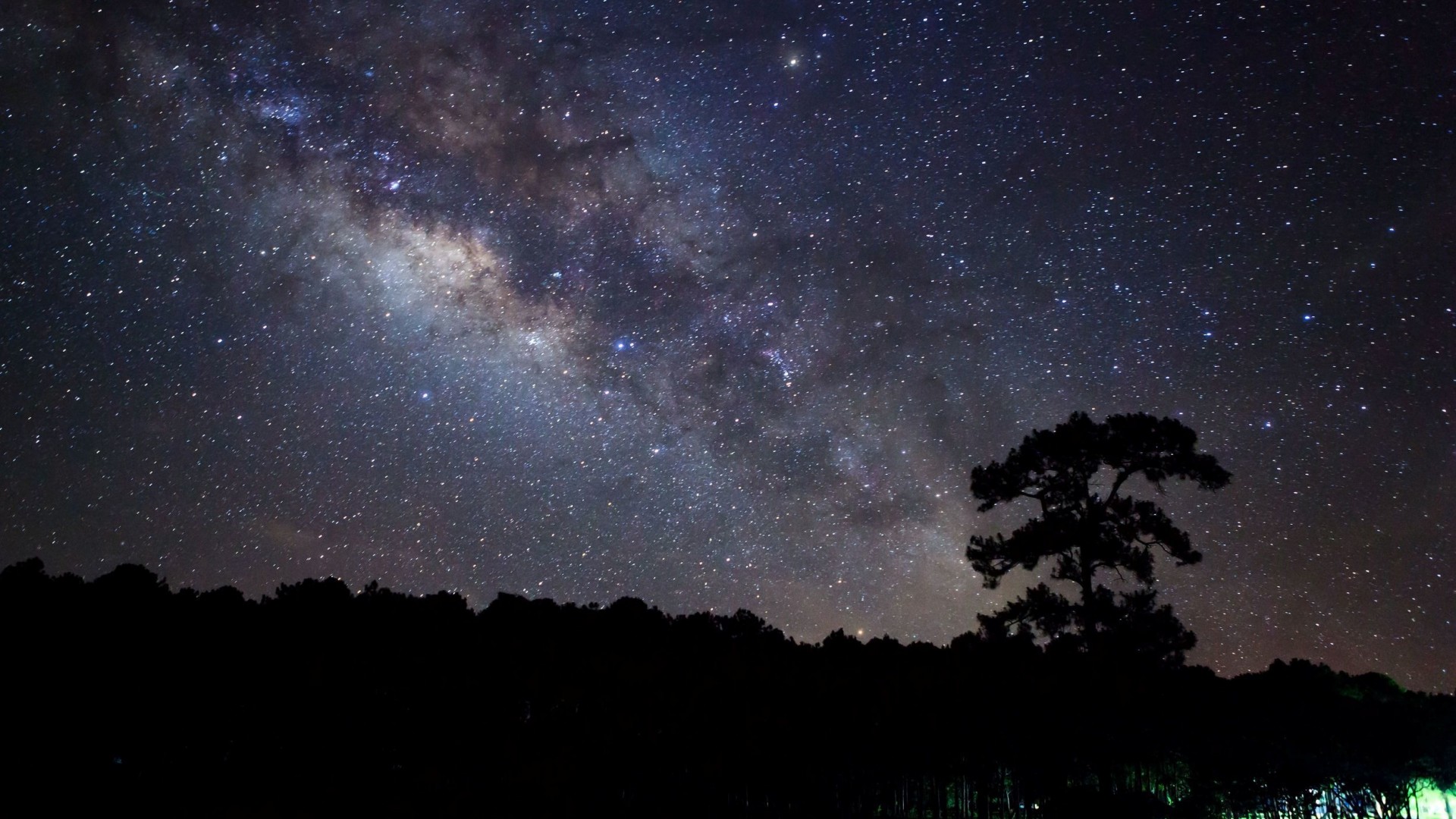 自然,傍晚,晚上,树,星空,桌面高清壁纸