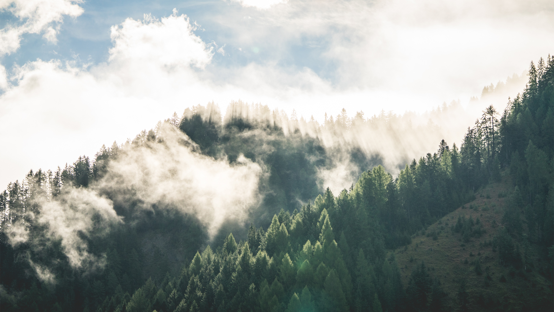 早晨山林雾自然风景高清壁纸