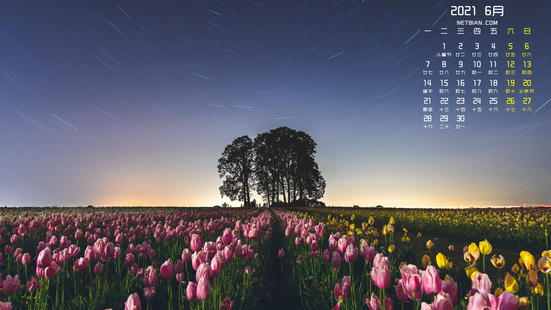 郁金香农场夜晚的天空2021年6月日历桌面高清壁纸