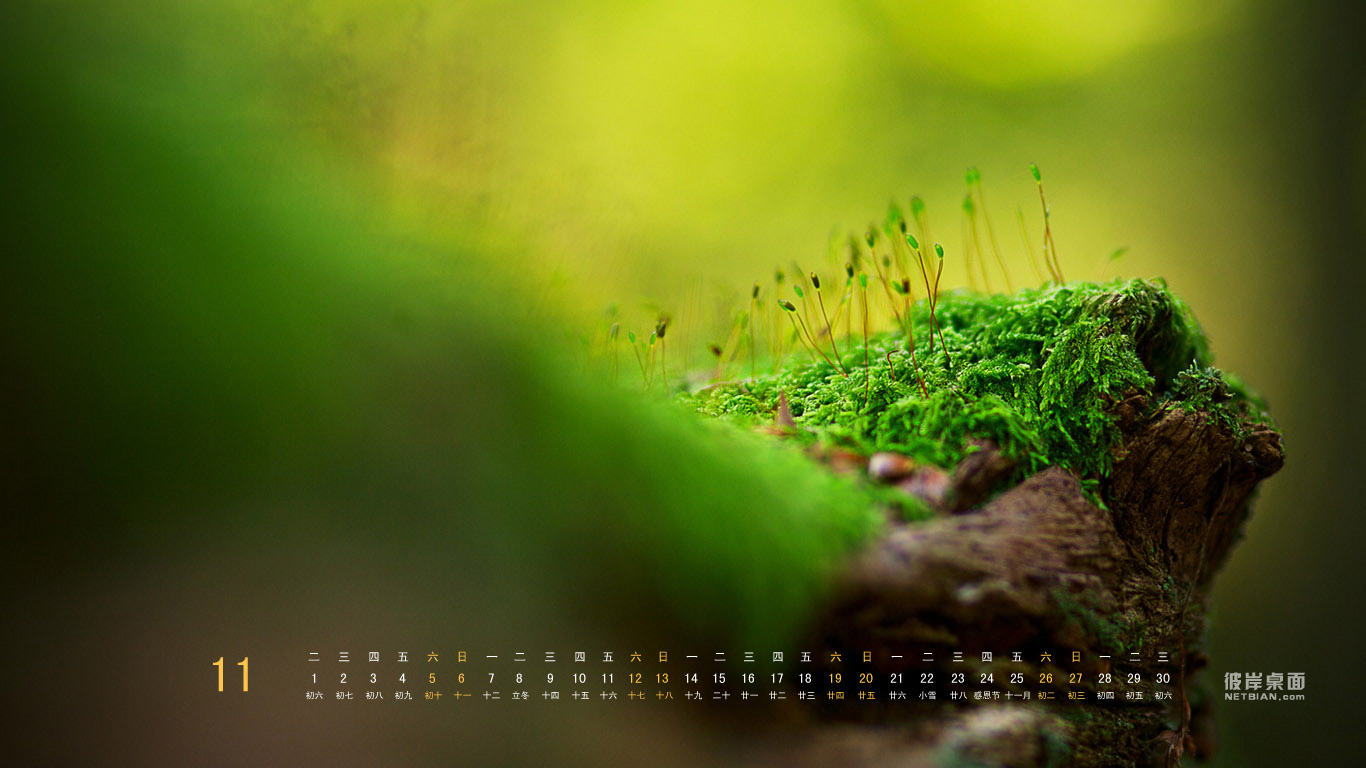 好看绿色养眼风景2011年11月日历高清壁纸