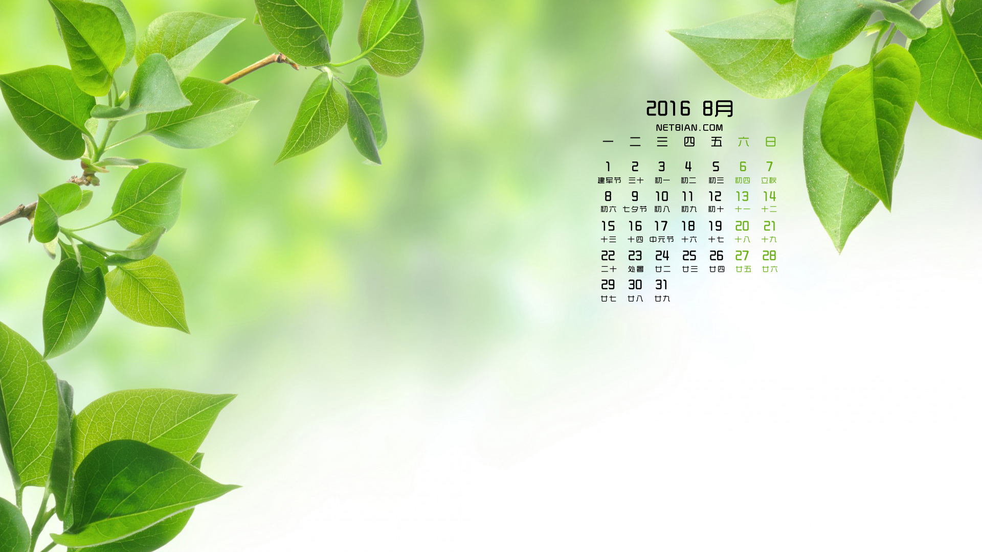 绿树叶2016年8月日历桌面高清壁纸