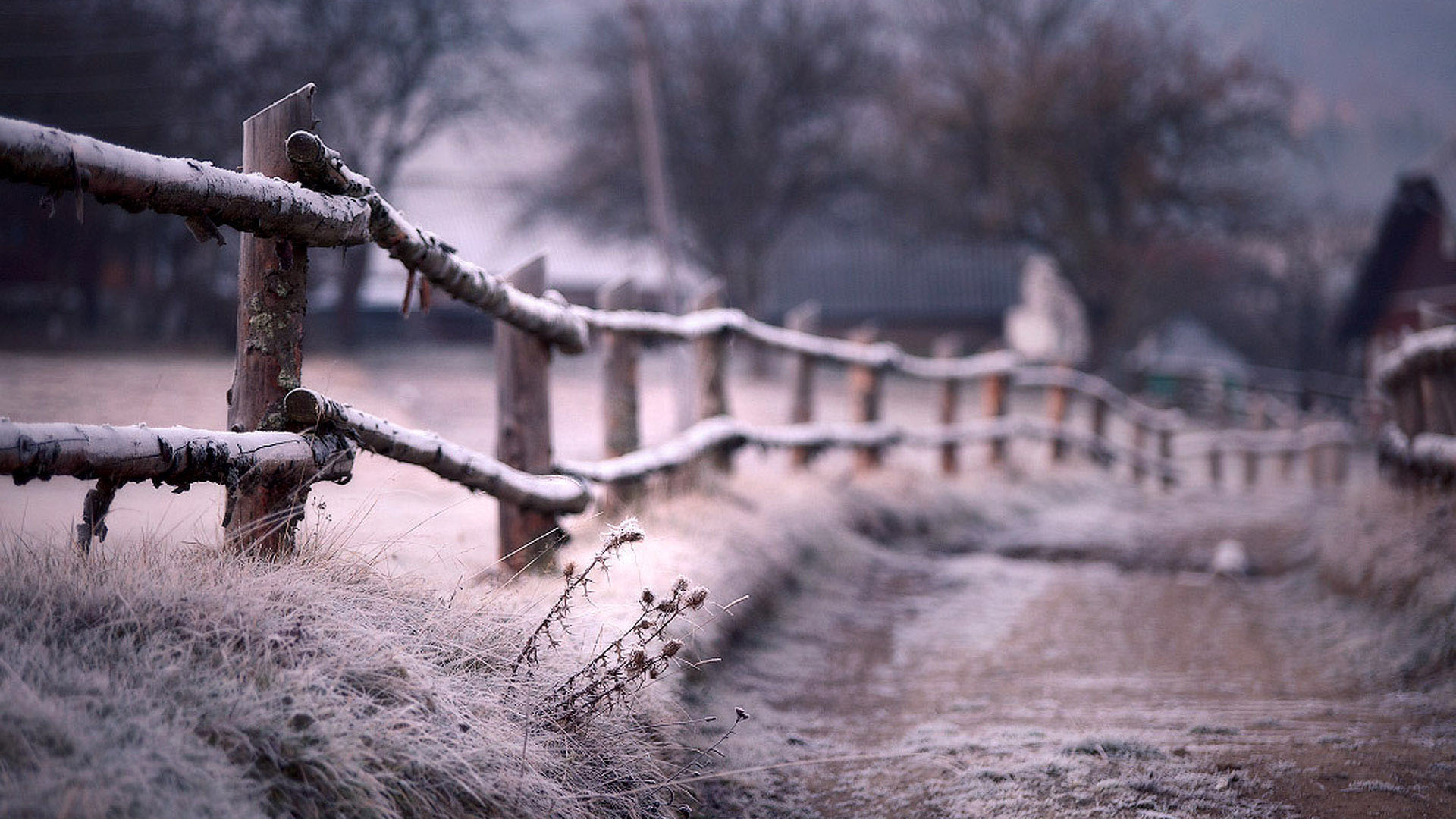 冬天雪景农村风景桌面高清壁纸