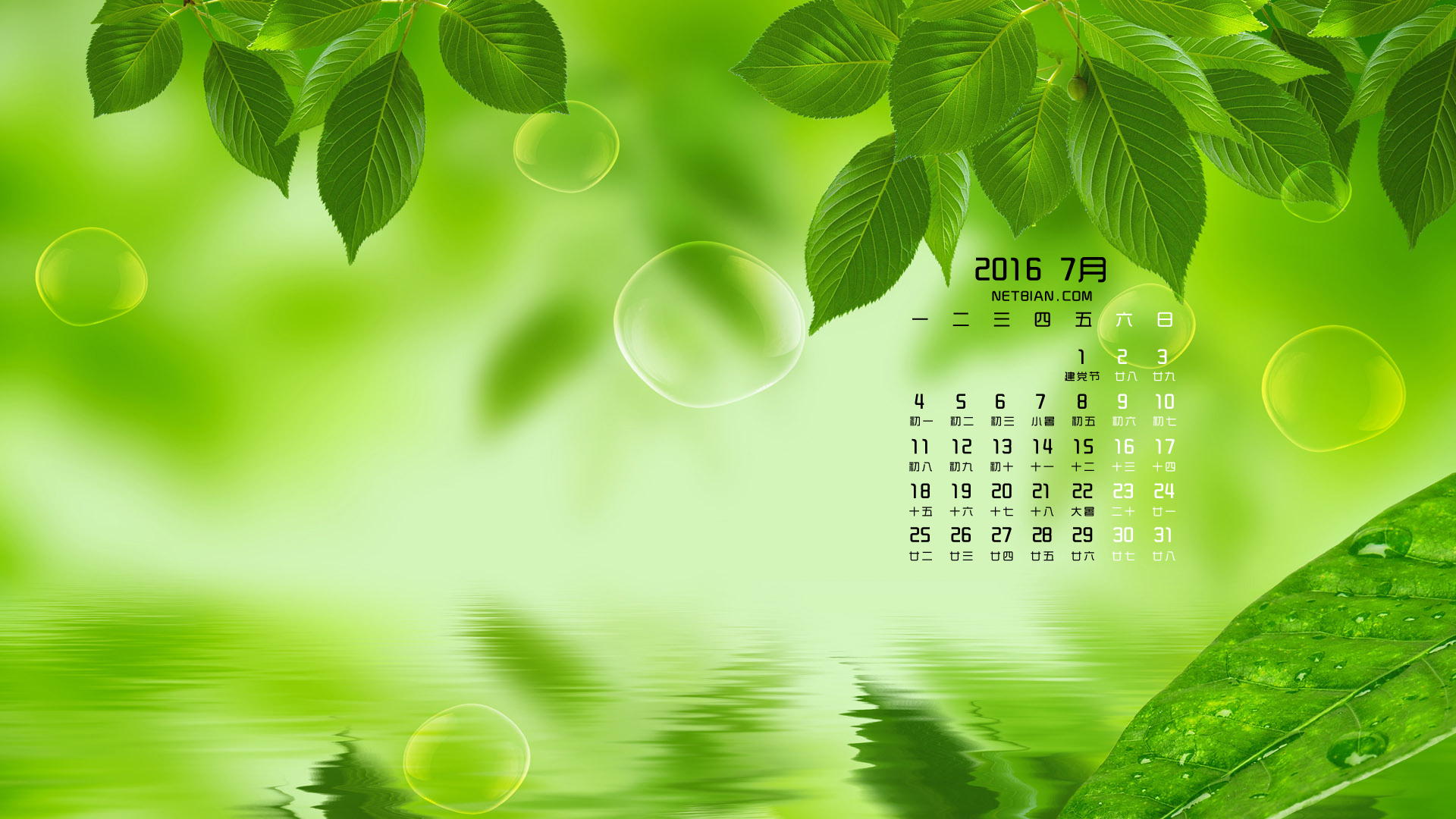 清新绿叶2016年7月日历桌面高清壁纸