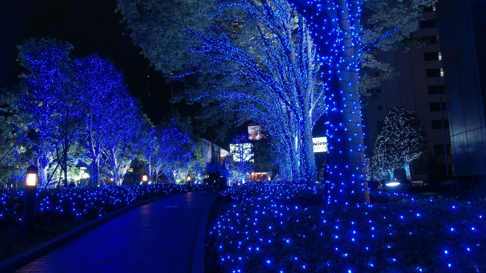 蓝色的水晶灯桌面高清壁纸夜景