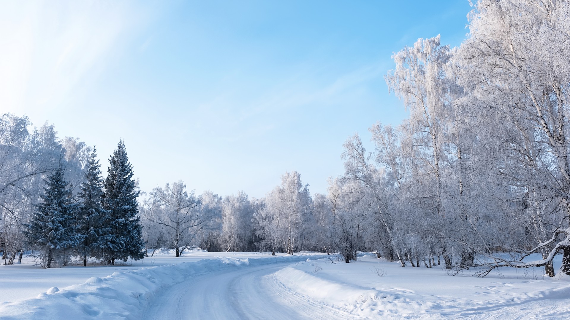 自然,冬天,景观,树木,公路,雪景,风景桌面高清壁纸