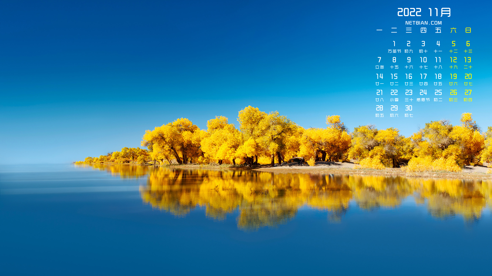 平静 秋天 湖水 金黄色的树 2022年11月风景日历桌面高清壁纸