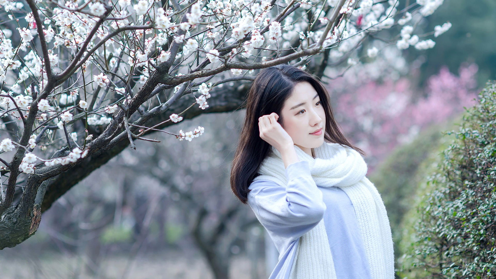 看梅花的清纯长发文艺美女高清壁纸