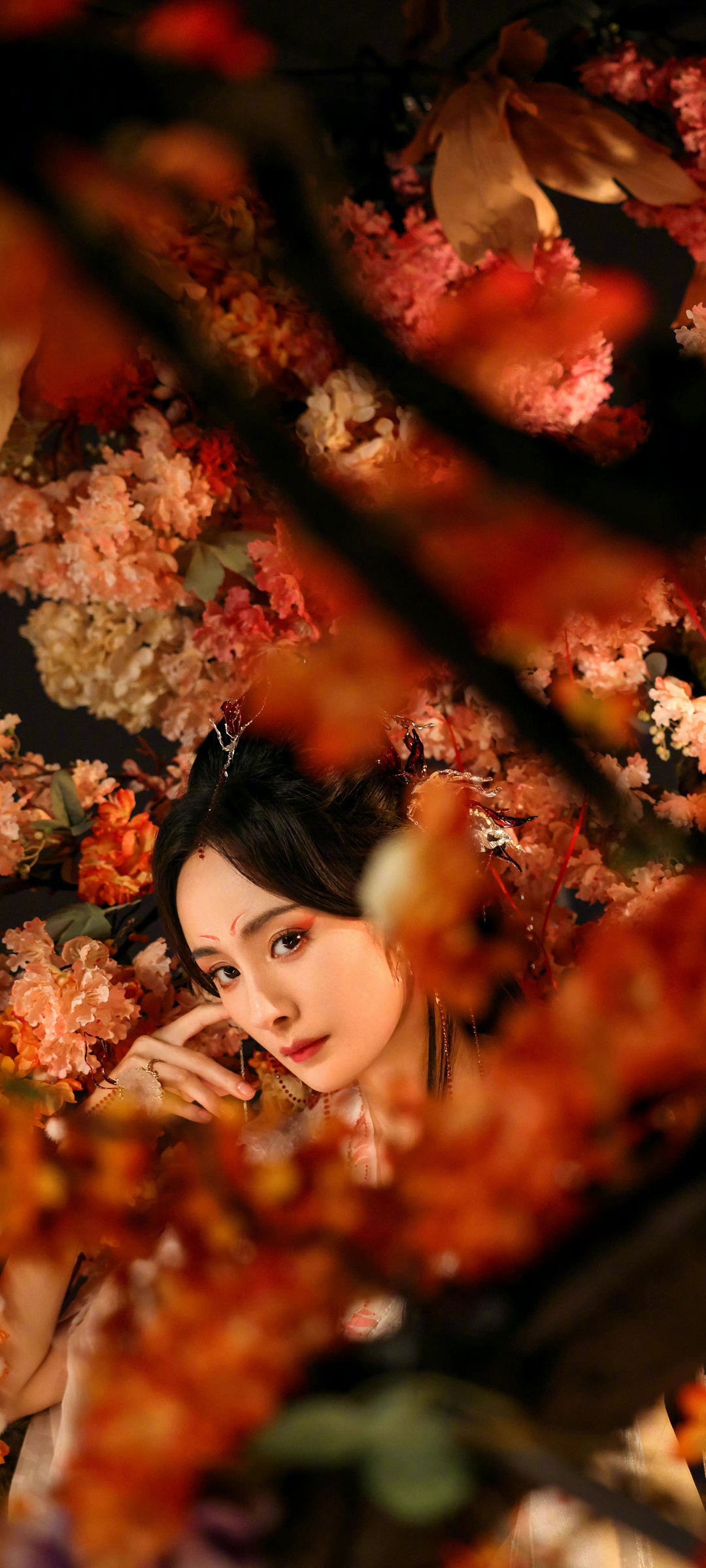 狐妖小红娘月红篇杨幂高清手机壁纸