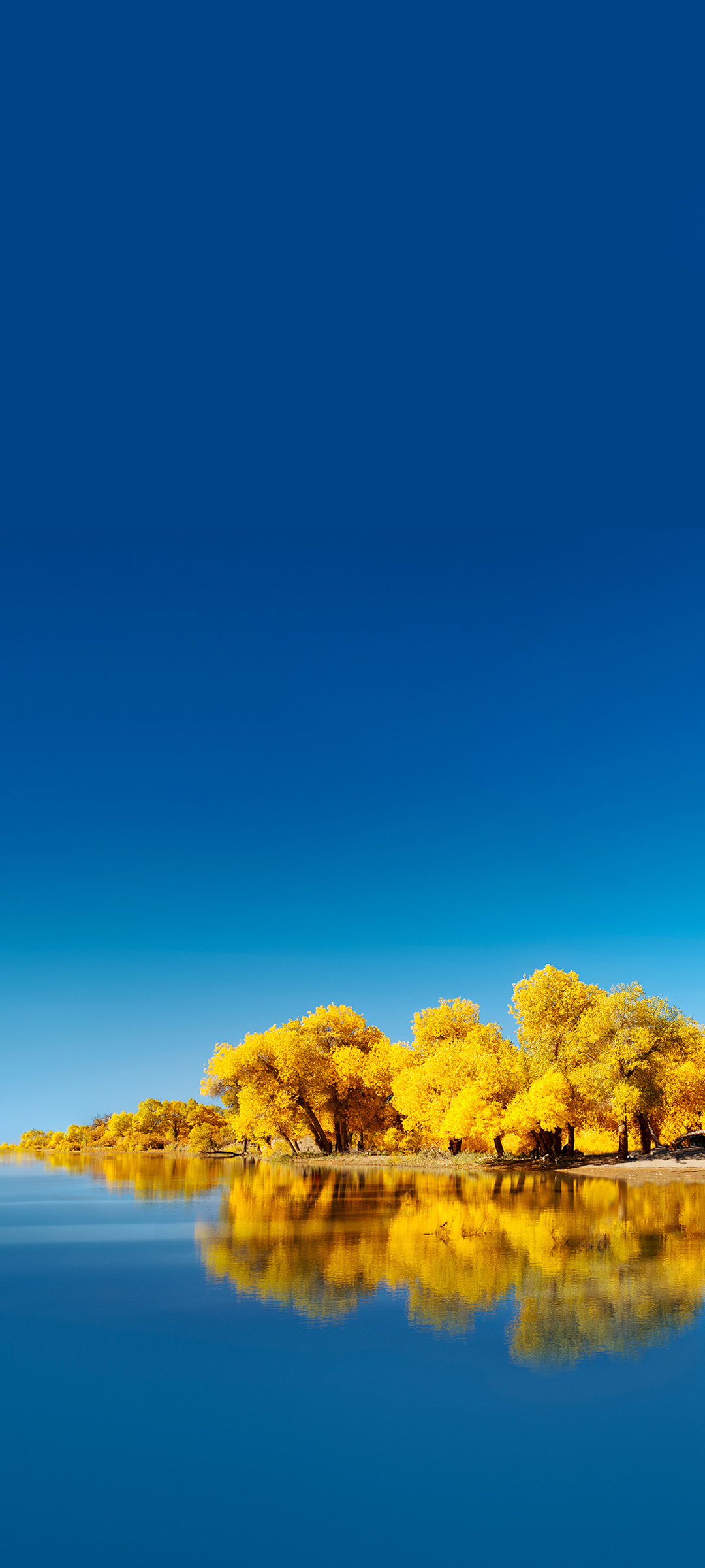 华为 Huawei Mate 40 Pro 未来之翼 秋天风景 高清手机壁纸图片