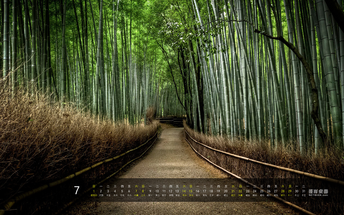 竹林小道2012年7月日历桌面高清壁纸