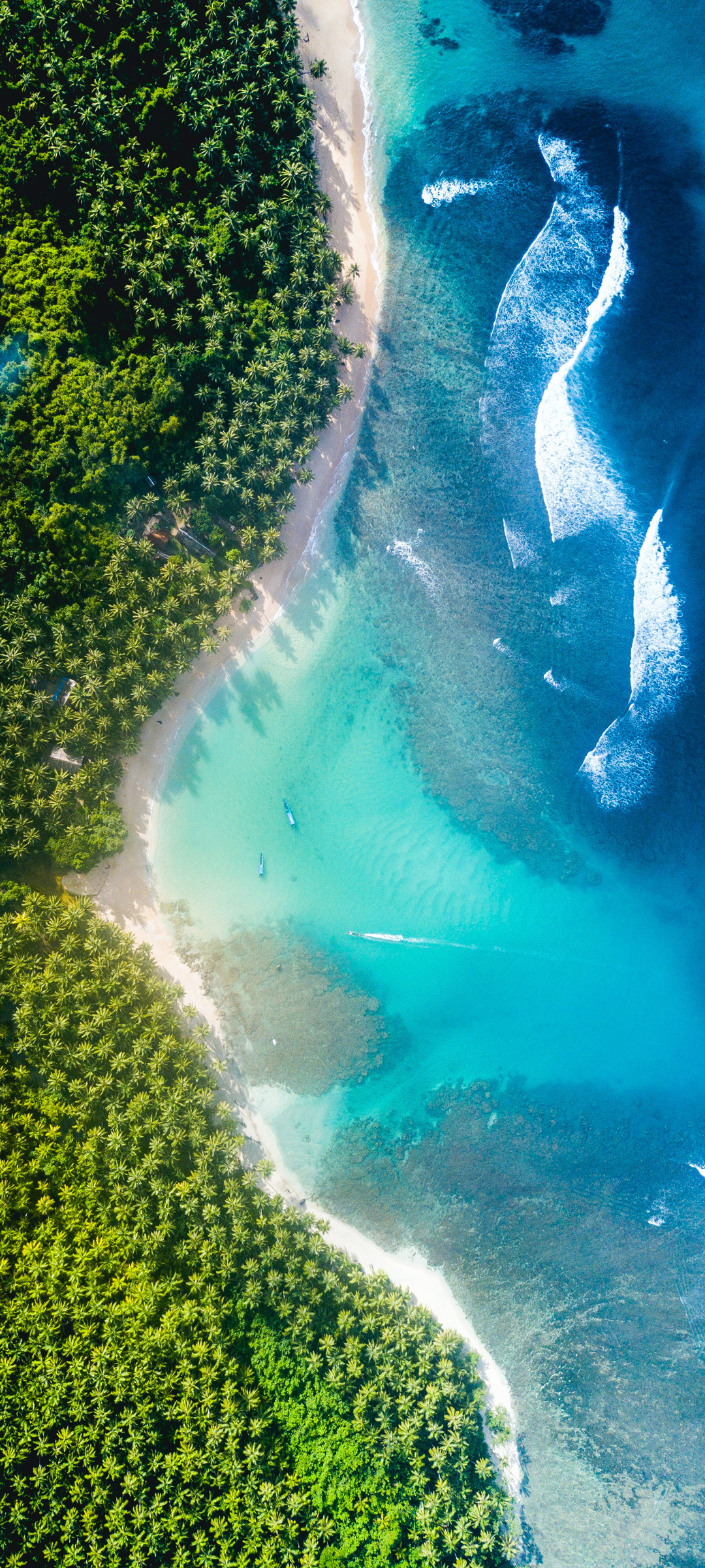大海风景 树 海边 海水 全屏高清手机壁纸桌面