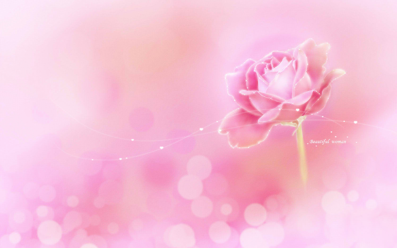 浪漫鲜花电脑桌面高清壁纸