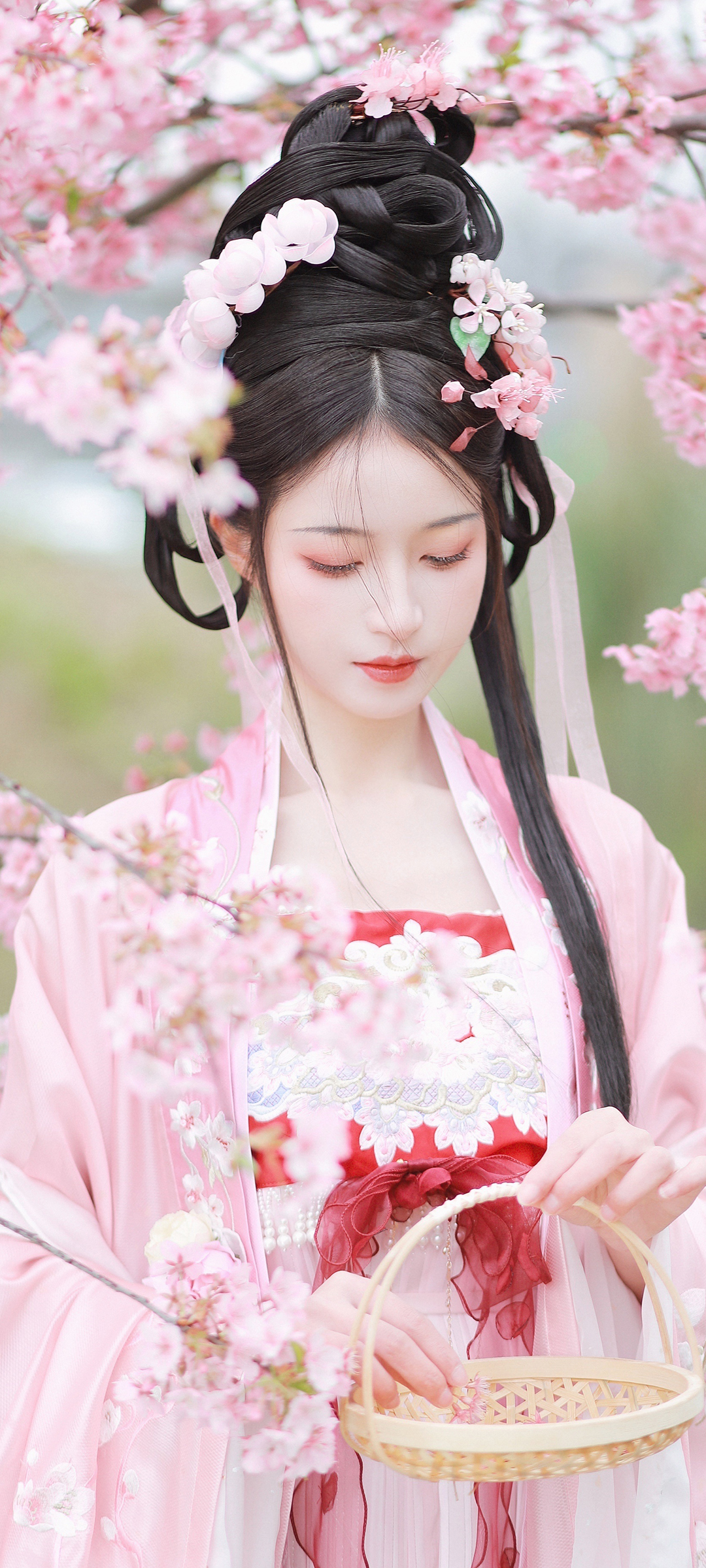 古装 古风 美女 樱花 高清手机壁纸桌面