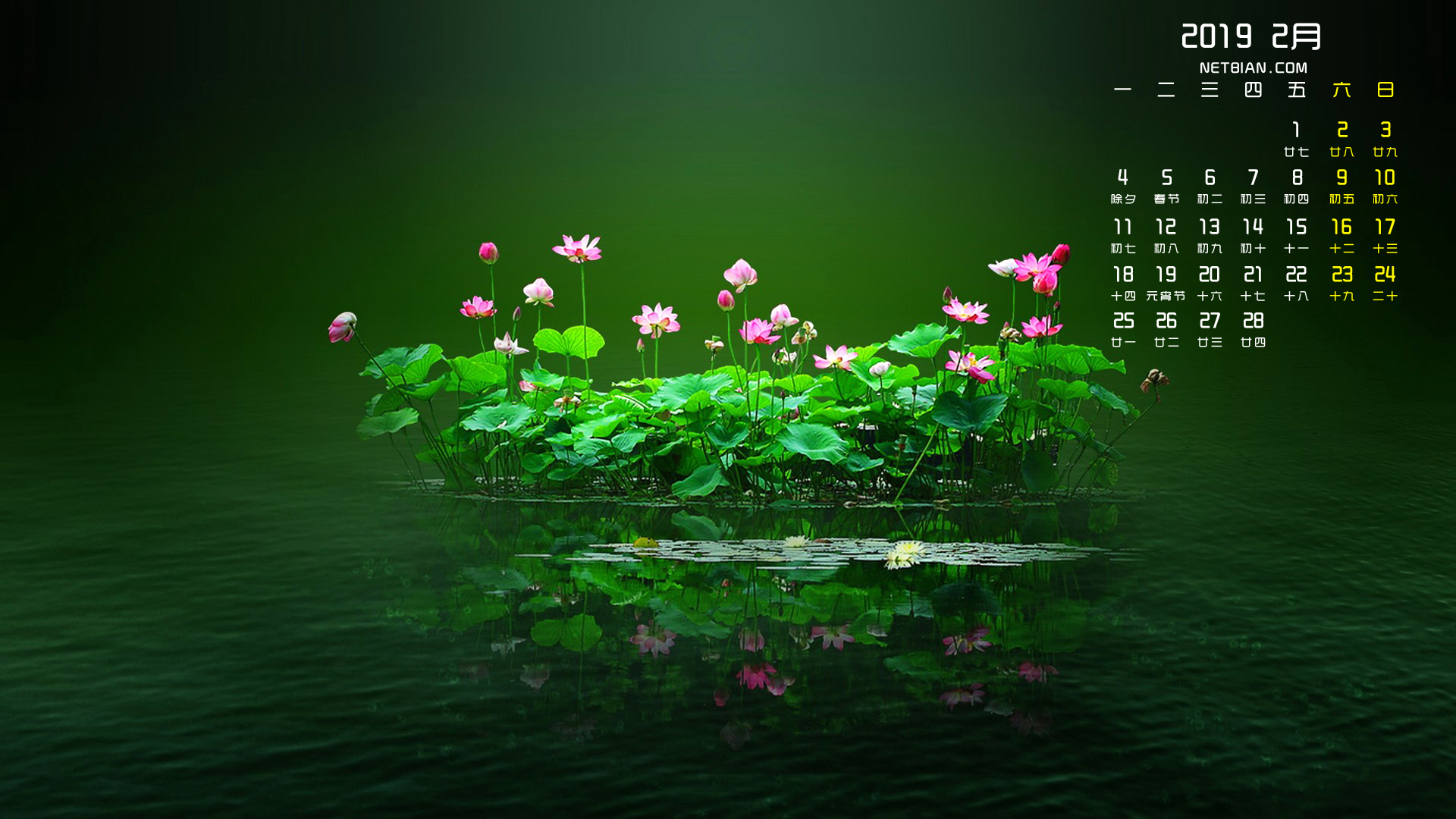 荷花2019年2月日历桌面高清壁纸