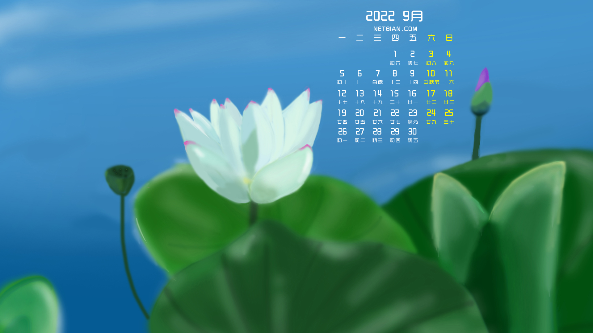 原创荷花2022年9月日历桌面高清壁纸